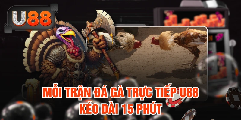 Mỗi trận đá gà trực tiếp U88 kéo dài 15 phút