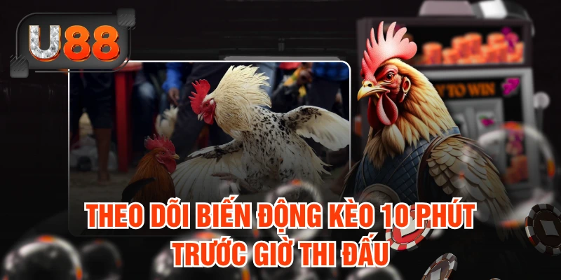 Theo dõi biến động kèo 10 phút trước giờ thi đấu